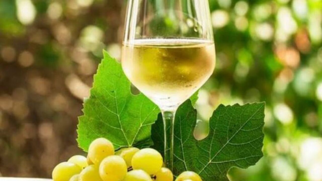 Rías Baixas, A Toxa, Bodega y Paseo en Barco desde Santiago