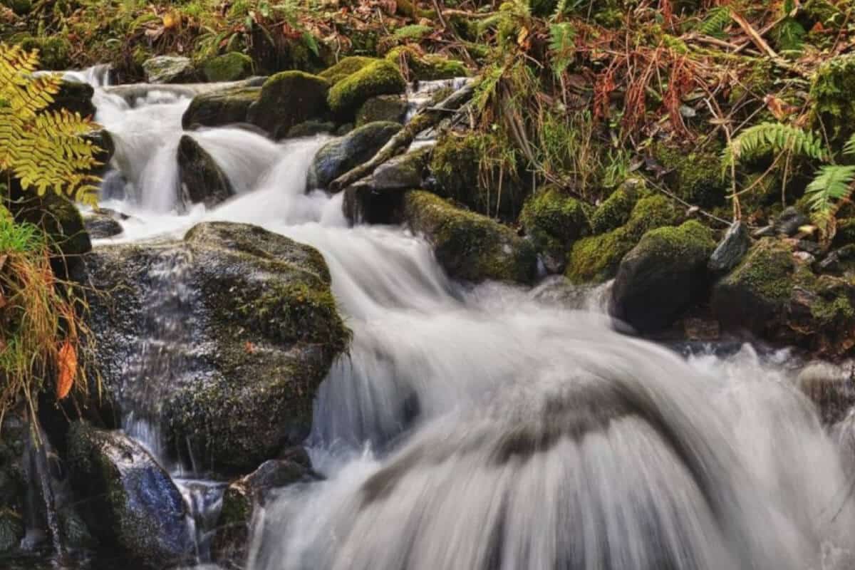 automne slow nord Galice