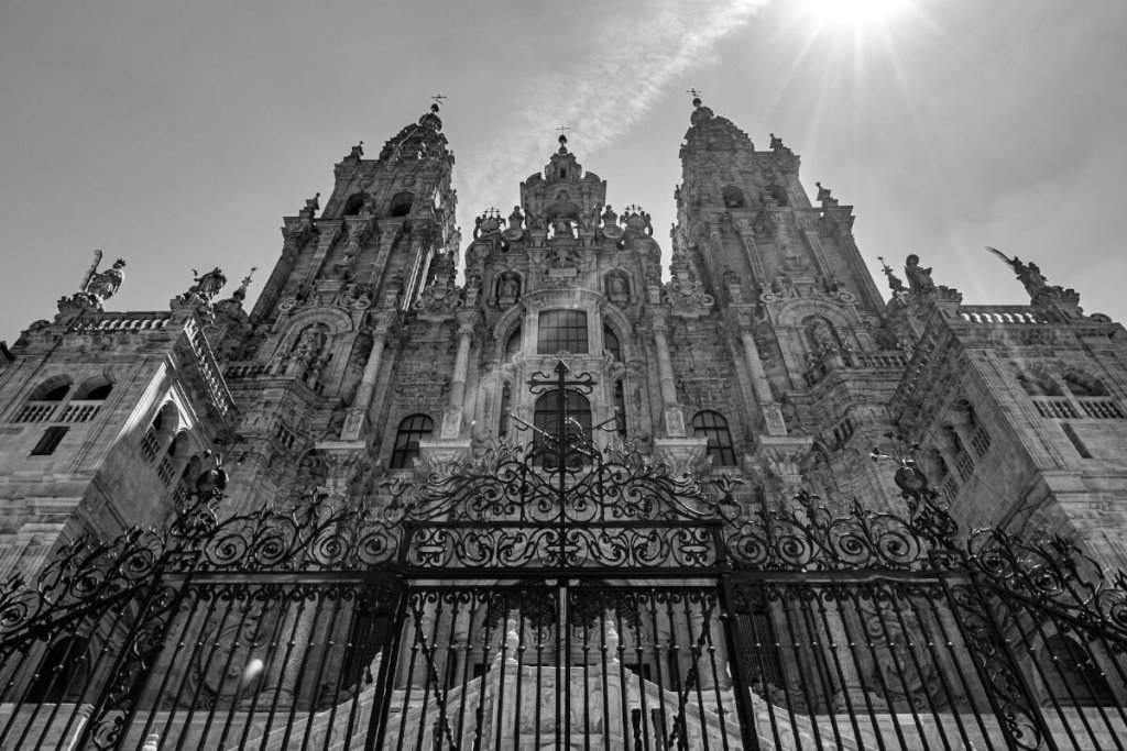 Excursión privada para cruceristas: A Coruña y Santiago