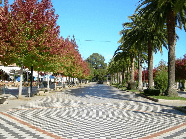 Conheça a Alameda em Noia