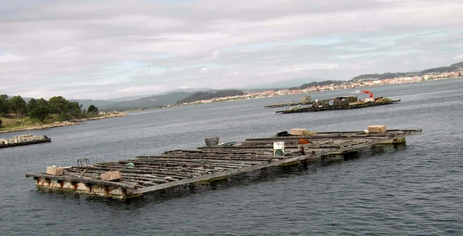 bateas in Galicia