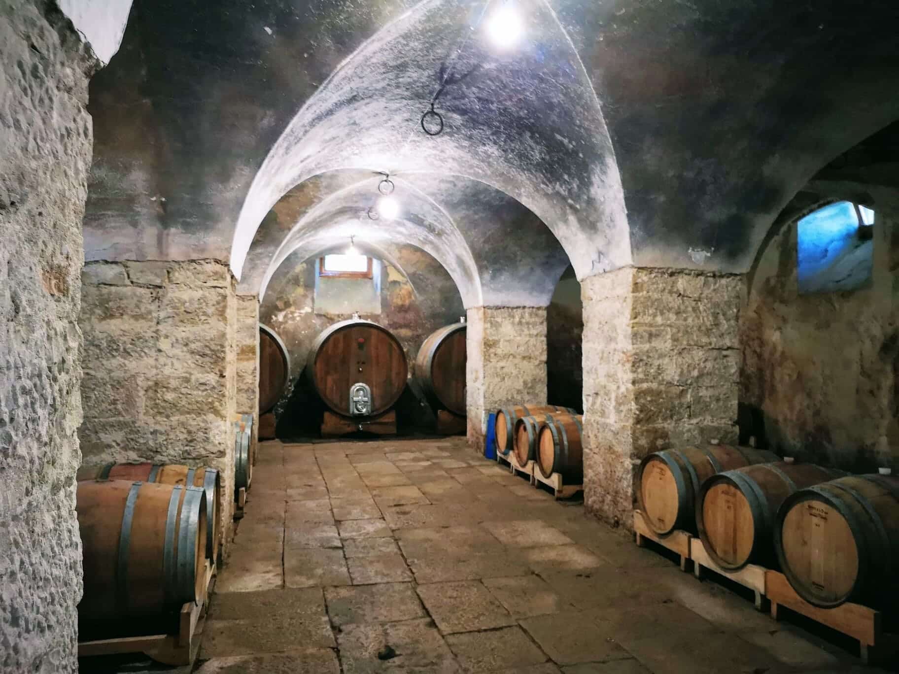 bodegas en tu excursión a Oporto