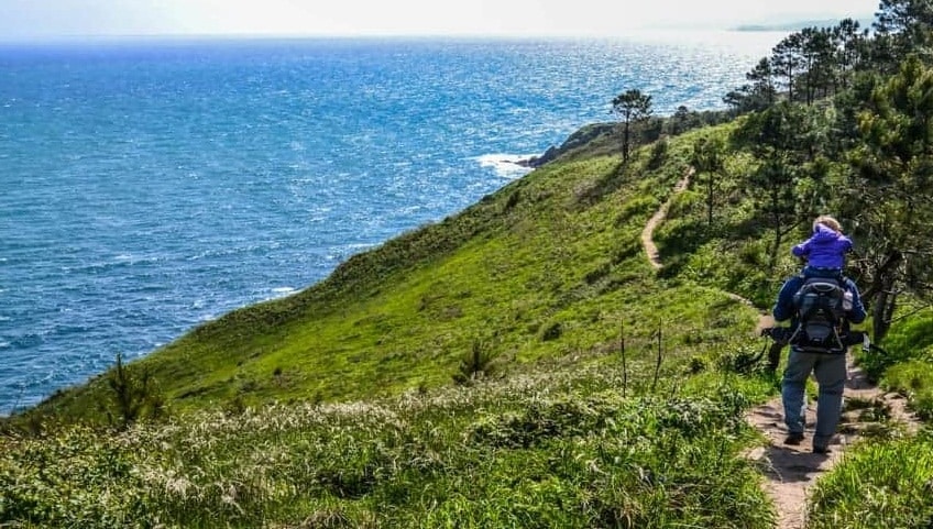 Le Chemin de Saint-Jacques (Histoire et actualité)