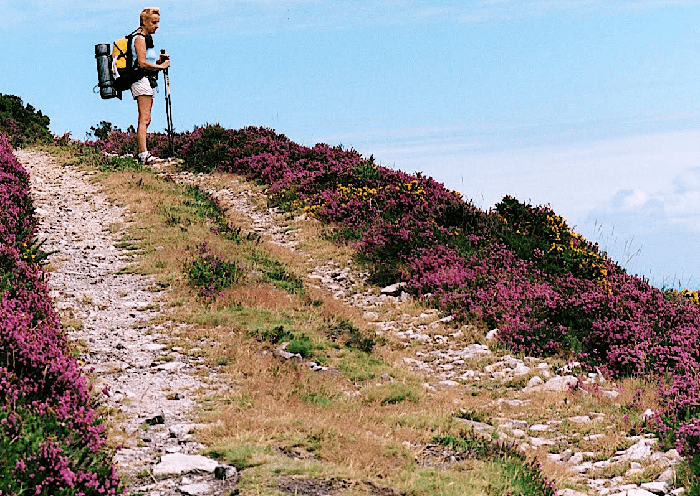 routes du Chemin