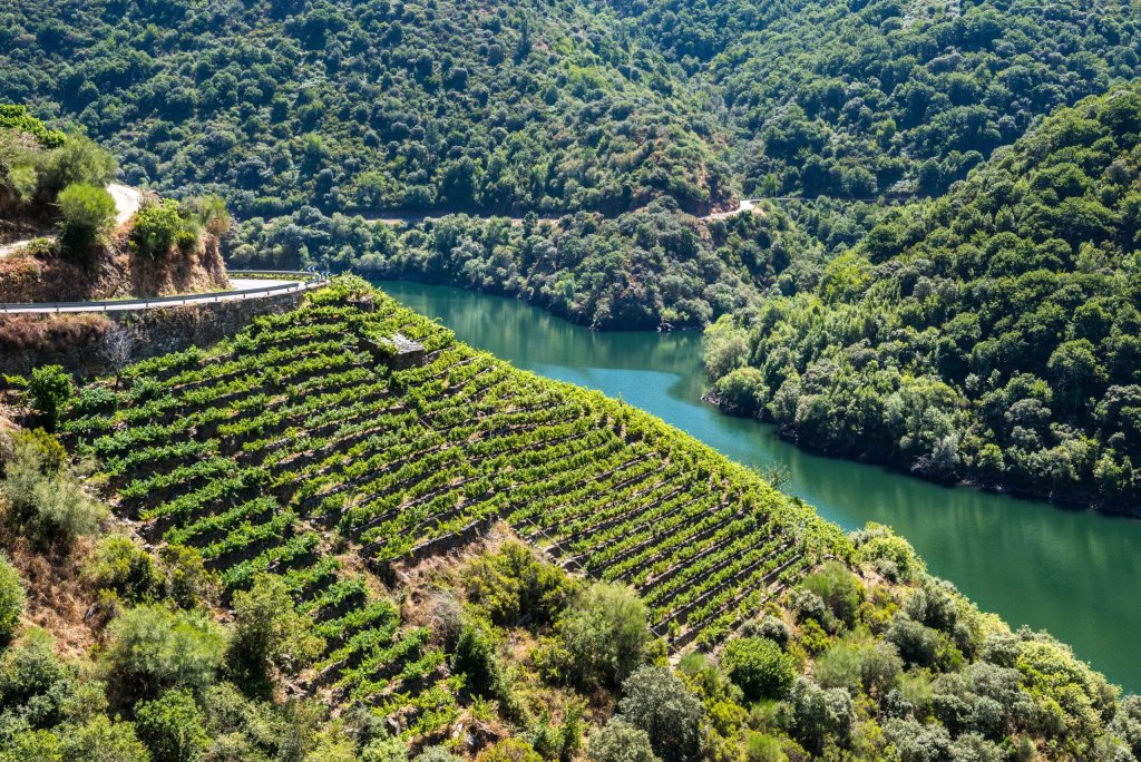 Ribeira Sacra desde Santiago