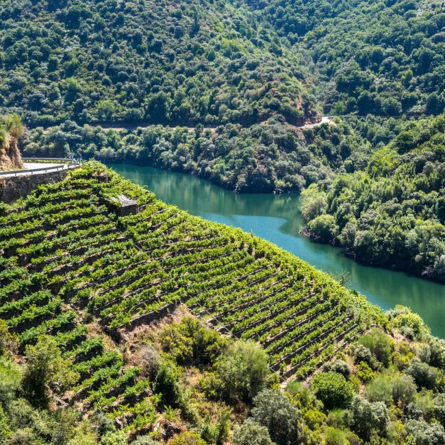 Ribeira Sacra desde Santiago