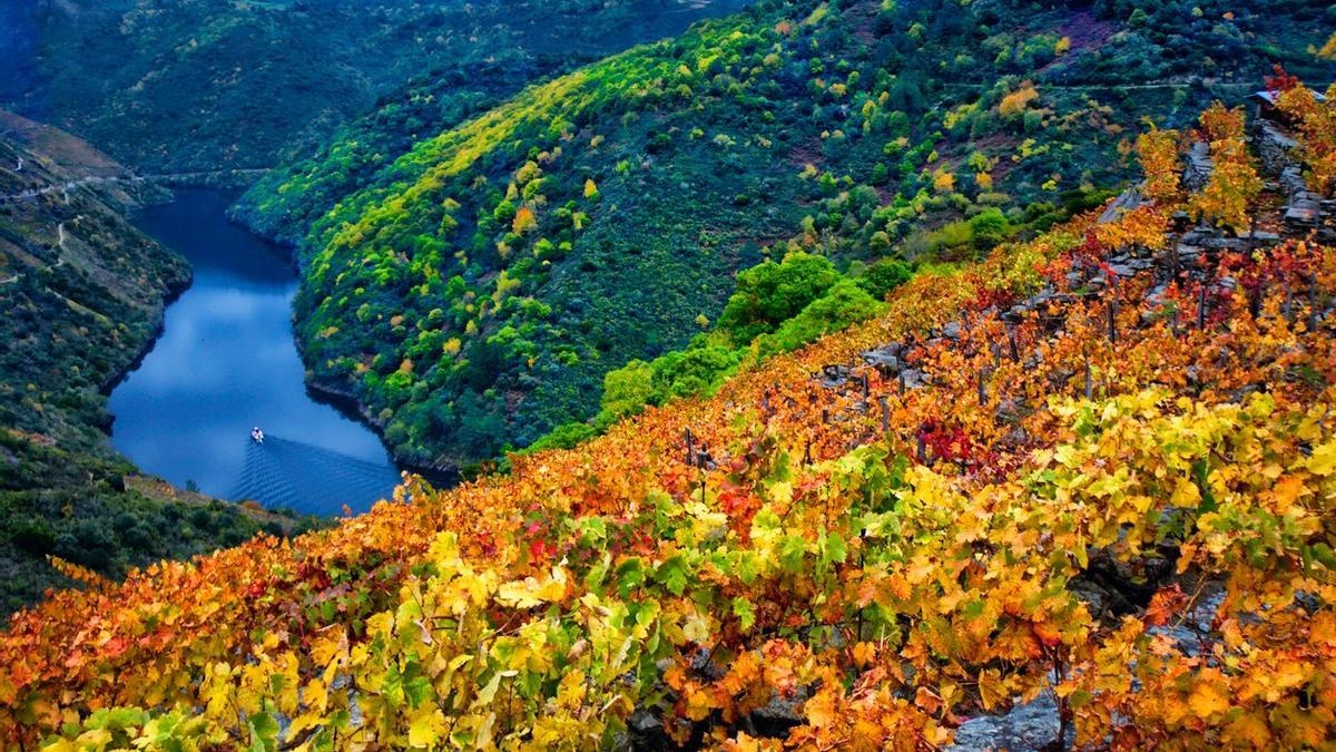 Ribeira Sacra desde Santiago