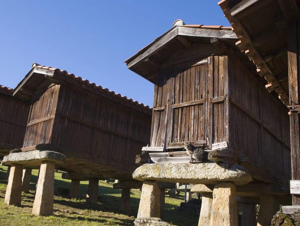 The Most Significant Typical Galician Things