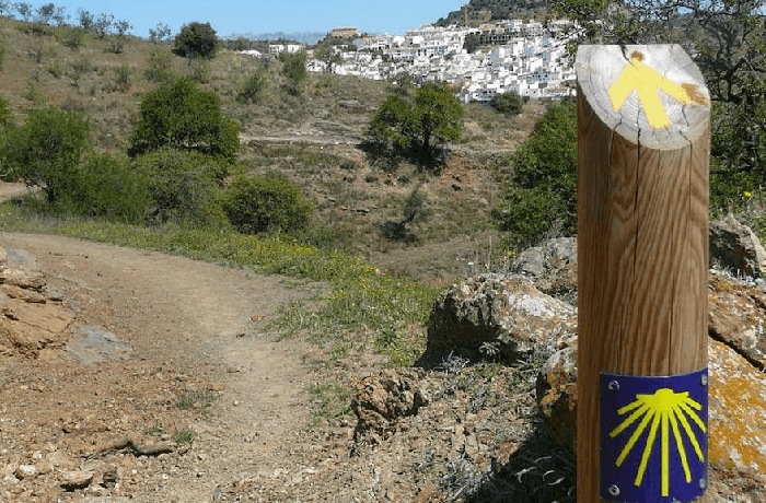 Tips for Walking the Camino de Santiago