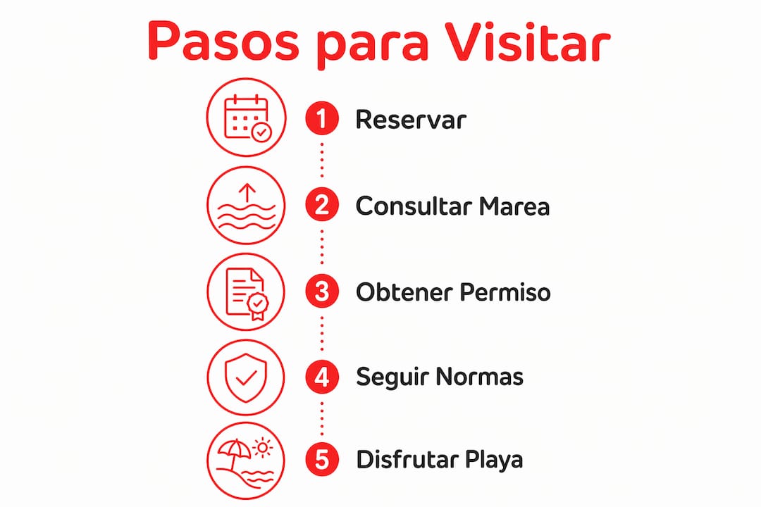 Guía visual con los pasos imprescindibles para organizar tu visita a la Playa de las Catedrales