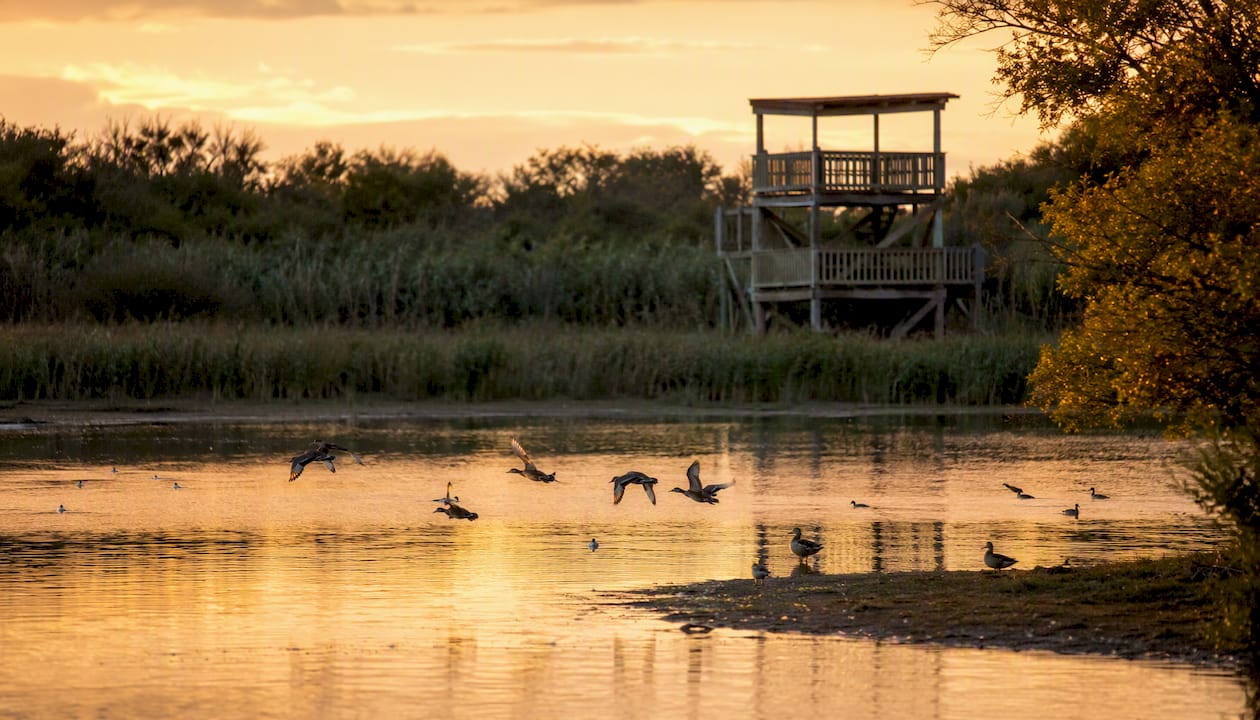 Amanecer en la laguna de Vixán: aves y vistas desde el mirador