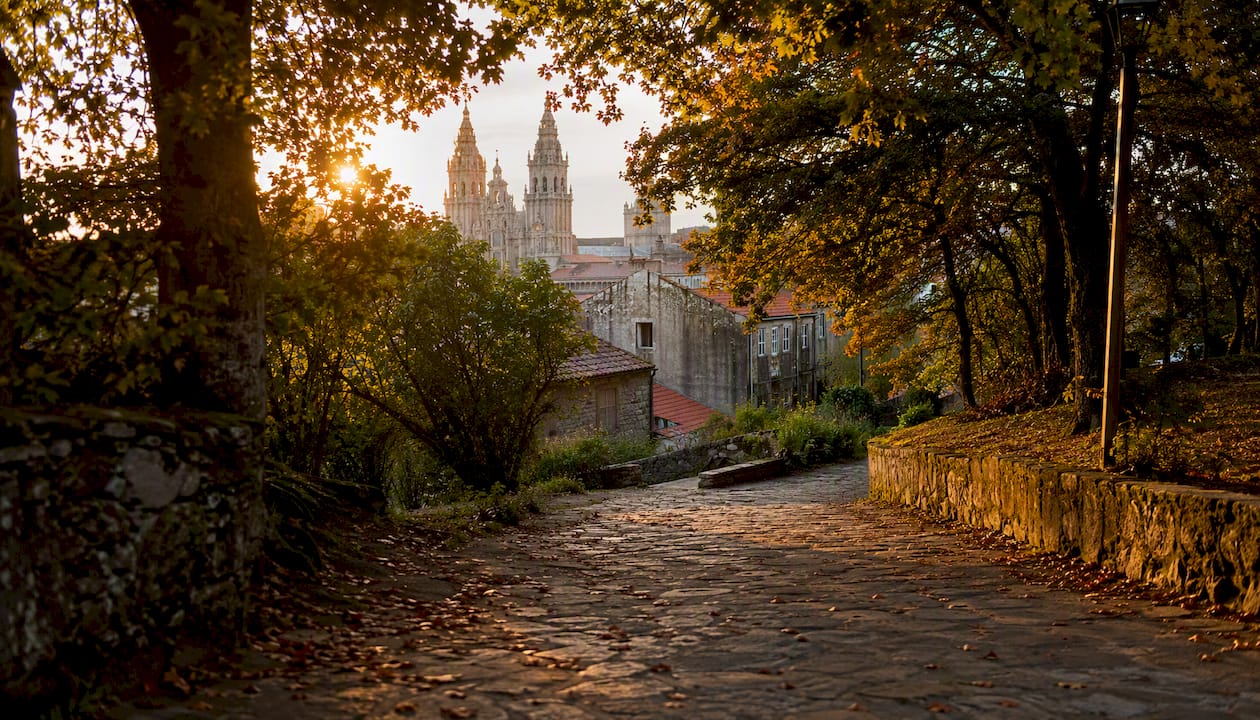 Panorámica de las torres de la catedral desde el Paseo da Ferradura, rodeado de árboles.