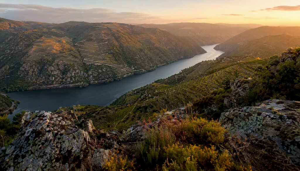 Los miradores imprescindibles de la Ribeira Sacra y cómo verlos