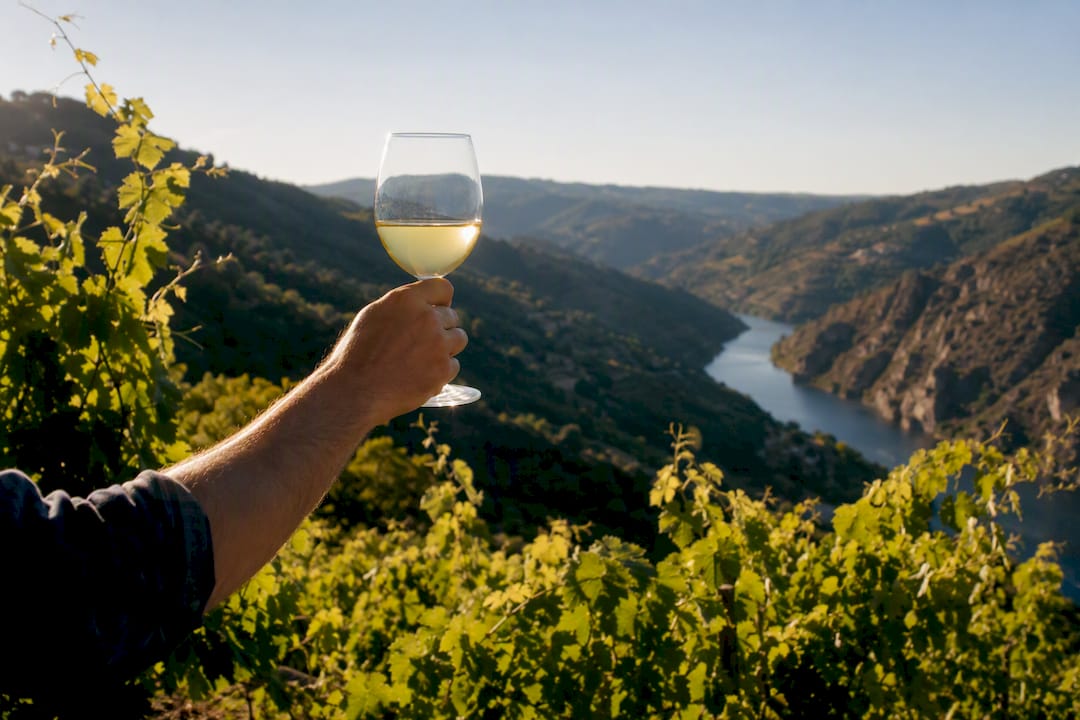 Copa de Albariño con vistas a las terrazas del río Sil