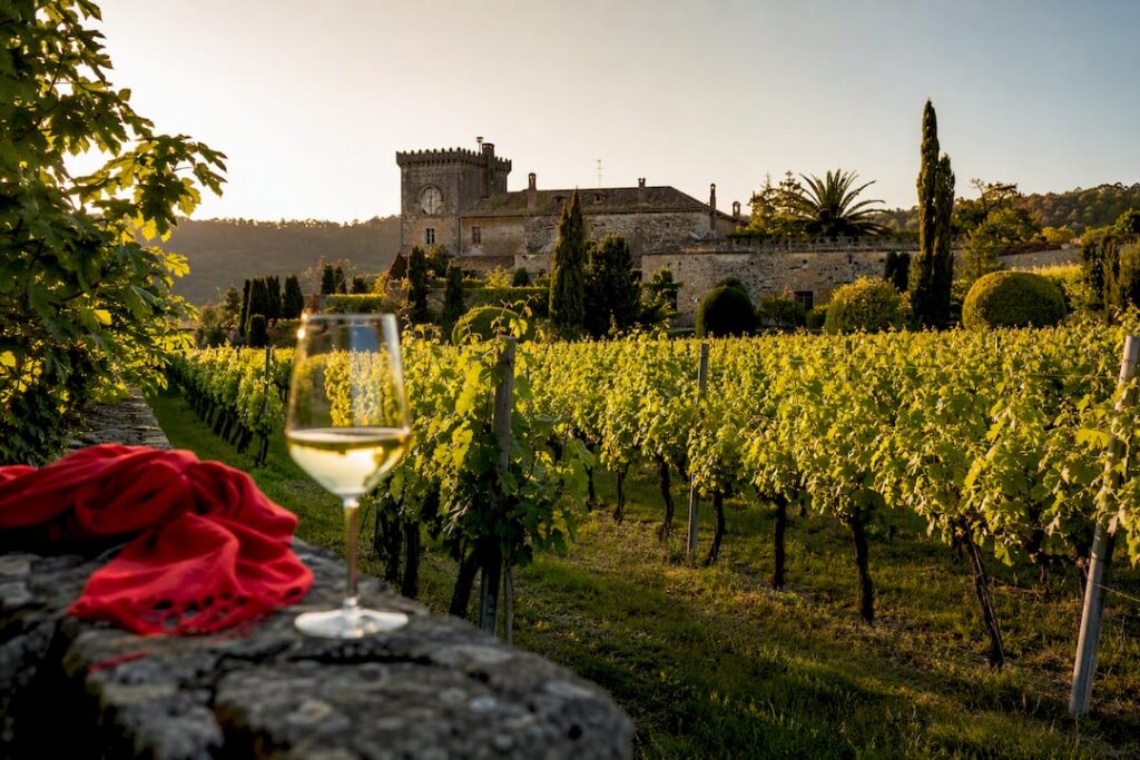 Bodegas de Albariño en Rías Baixas: dónde visitar y catar