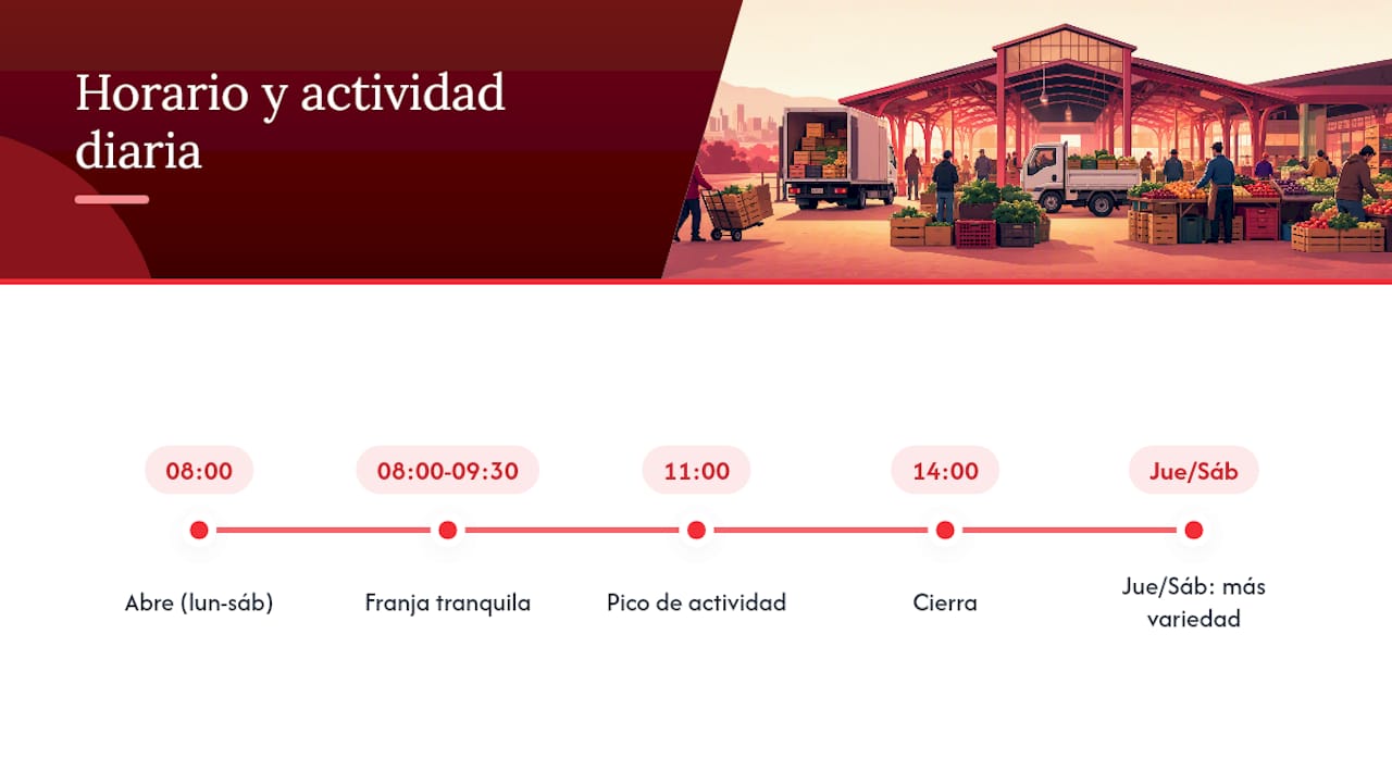 Horario y días de mayor actividad